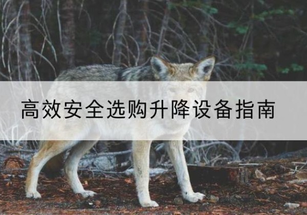 淮北升降货梯厂家推荐-*安全选购升降设备指南