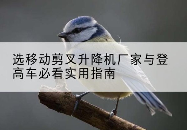 淮北电动升降机厂家-选移动剪叉升降机厂家与登高车必看实用指南
